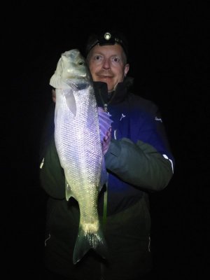 20251021_210948.jpg 20251021_210948.jpg