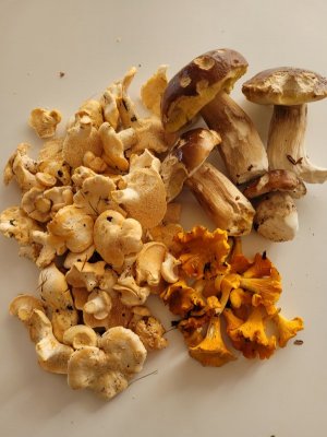 20251022_132435.jpg