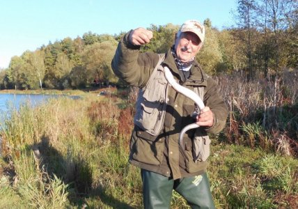 DSCI4142.JPG DSCI4142.JPG