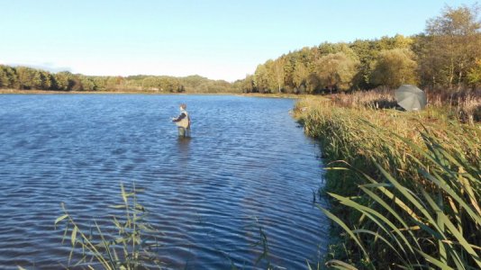 DSCI4150.JPG DSCI4150.JPG