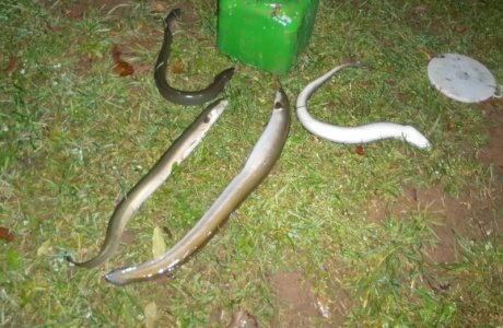 DSCI4155.JPG DSCI4155.JPG