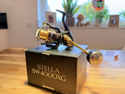 IMG_8234.jpeg IMG_8234.jpeg