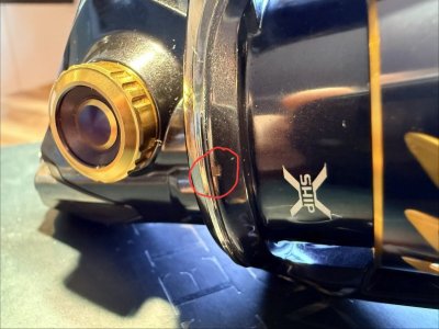 IMG_8235.jpeg IMG_8235.jpeg