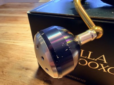 IMG_8238.jpeg IMG_8238.jpeg