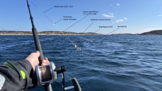 Boots-Rute.jpg Boots-Rute.jpg