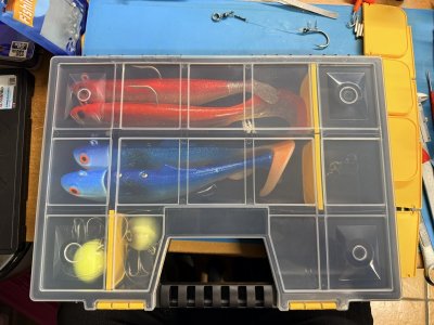 IMG_8272.jpeg IMG_8272.jpeg