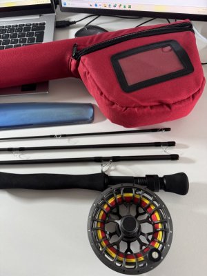 IMG_3286.jpeg IMG_3286.jpeg