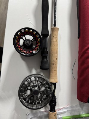 IMG_3289.jpeg IMG_3289.jpeg