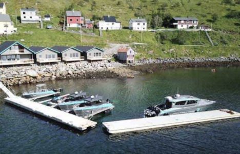 IMG_5703.jpeg IMG_5703.jpeg