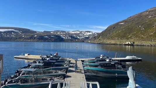 IMG_5701.jpeg IMG_5701.jpeg