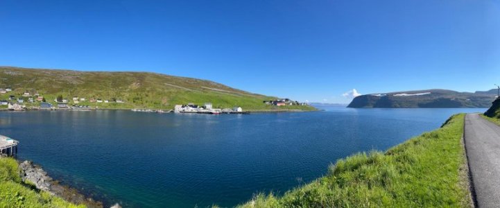 IMG_5699.jpeg IMG_5699.jpeg