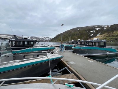 959de54d-7dec-41d4-8a22-394458d81809.jpeg 959de54d-7dec-41d4-8a22-394458d81809.jpeg