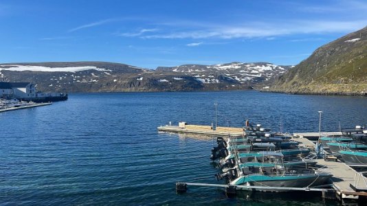 IMG_5698.jpeg IMG_5698.jpeg