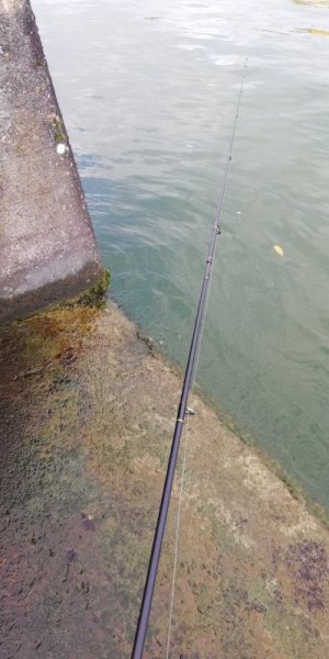 IMG_20251026_085730.jpg IMG_20251026_085730.jpg