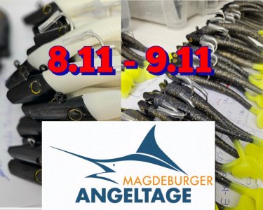 InCollage_20251103_111616356.jpg InCollage_20251103_111616356.jpg