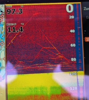 PXL_20250523_115300925_clean.jpg PXL_20250523_115300925_clean.jpg