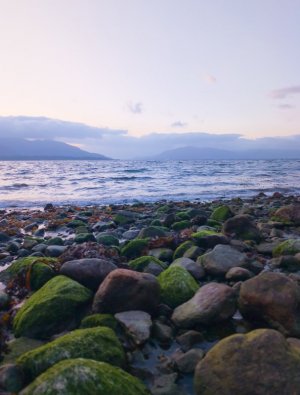 IMG_20250522_233250_HDR.jpg IMG_20250522_233250_HDR.jpg