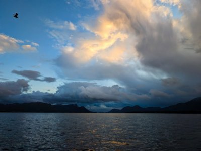 PXL_20250521_195556473.jpg PXL_20250521_195556473.jpg