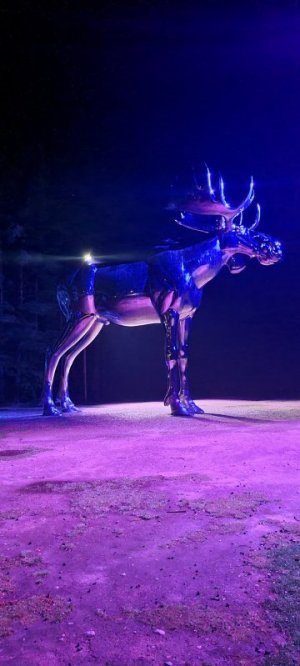 aa1d742e-ff52-400b-b7fe-c99a39f510cf.jpeg aa1d742e-ff52-400b-b7fe-c99a39f510cf.jpeg