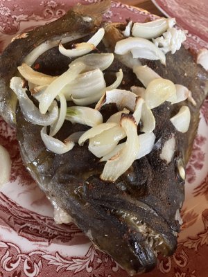 IMG_1755.jpeg IMG_1755.jpeg