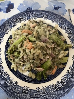 IMG_4300.jpeg IMG_4300.jpeg