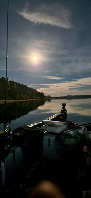 20251104_174720.jpg 20251104_174720.jpg