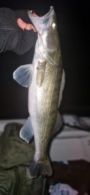 20251104_210727.jpg 20251104_210727.jpg