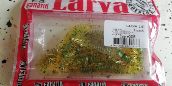 IMG_20251106_124313.jpg IMG_20251106_124313.jpg