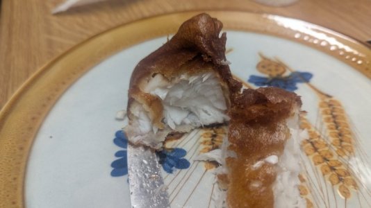 1000080508.jpg 1000080508.jpg