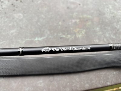 IMG_6584.jpeg IMG_6584.jpeg