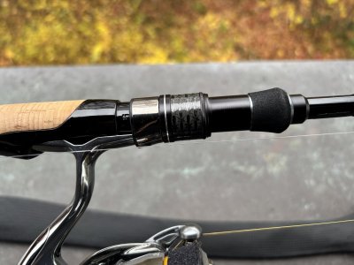 IMG_6586.jpeg IMG_6586.jpeg