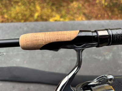 IMG_6587.jpeg IMG_6587.jpeg