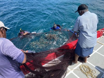 IMG_6240.jpeg IMG_6240.jpeg