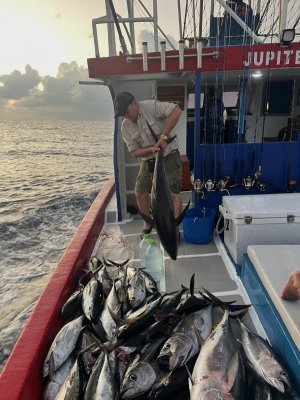 IMG_6262.jpeg IMG_6262.jpeg