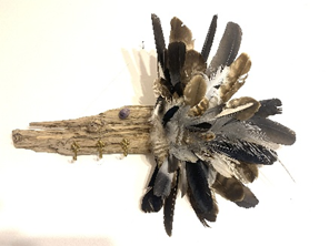 1763124812062.png 1763124812062.png