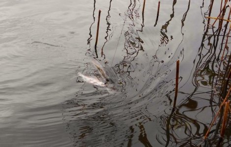 DSCI4308.JPG DSCI4308.JPG