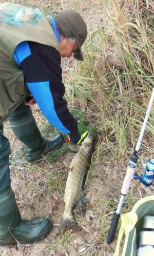 DSCI4315.JPG DSCI4315.JPG