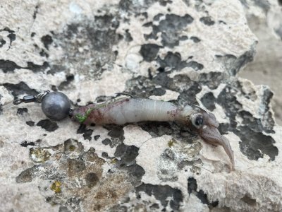 IMG_3390.jpg IMG_3390.jpg