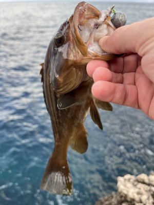 IMG_3399.jpg IMG_3399.jpg