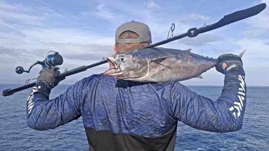 IMG_3478.JPG IMG_3478.JPG