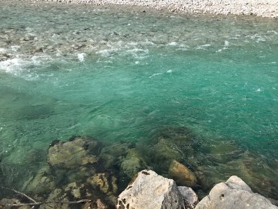 IMG_8069.jpeg IMG_8069.jpeg