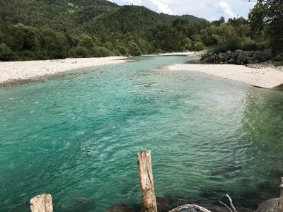 IMG_8070.jpeg IMG_8070.jpeg