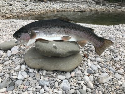 IMG_8073.jpeg IMG_8073.jpeg