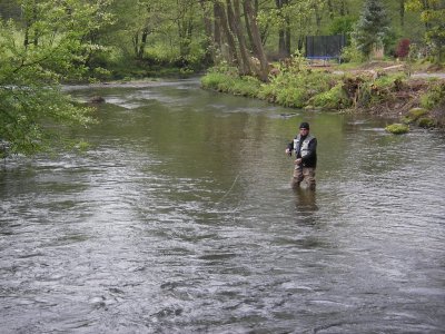 KDNY3342.jpeg KDNY3342.jpeg