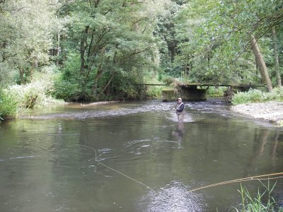 GOJL8317.jpeg GOJL8317.jpeg