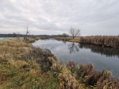 IMG-20251207-WA0003.jpg IMG-20251207-WA0003.jpg