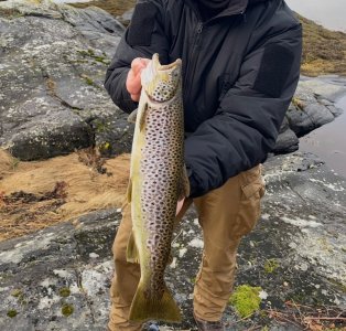 IMG_2779.jpeg IMG_2779.jpeg