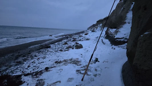 20260105_080323.webp 20260105_080323.webp