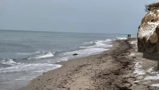 20260105_144938.webp 20260105_144938.webp