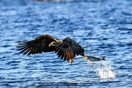 IMG_5827.webp IMG_5827.webp